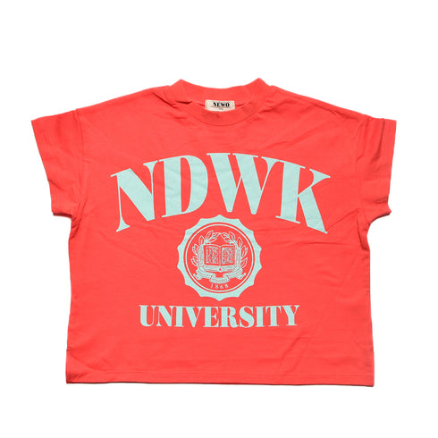 【NEWO・ネオ】カレッジロゴTシャツ|80cm~150cm|3125205